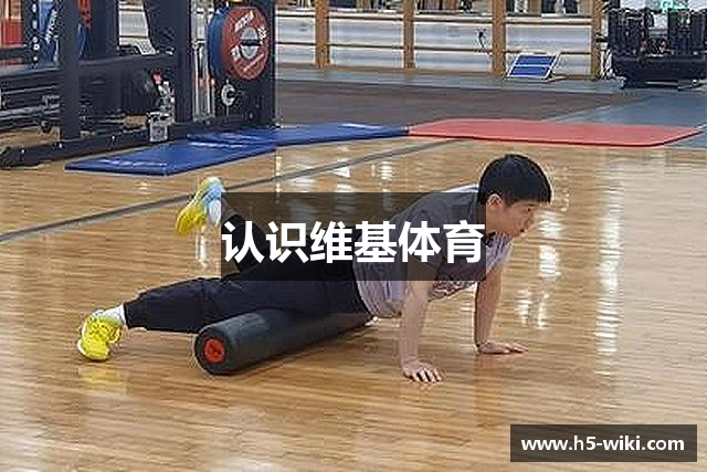 认识维基体育